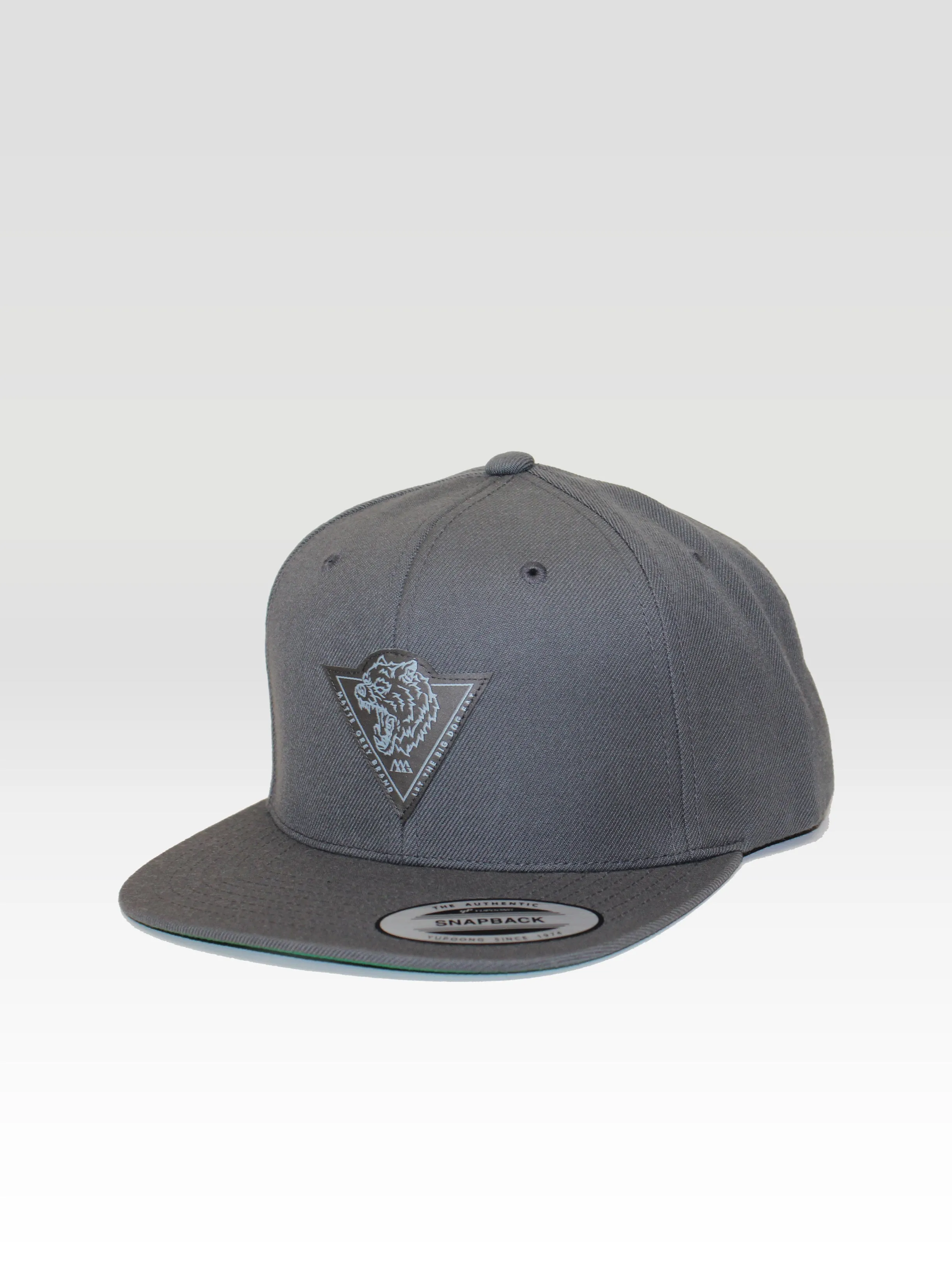 Big Dog Tri Snapback - Brand Grey (Brand Grey / Ice Blue)