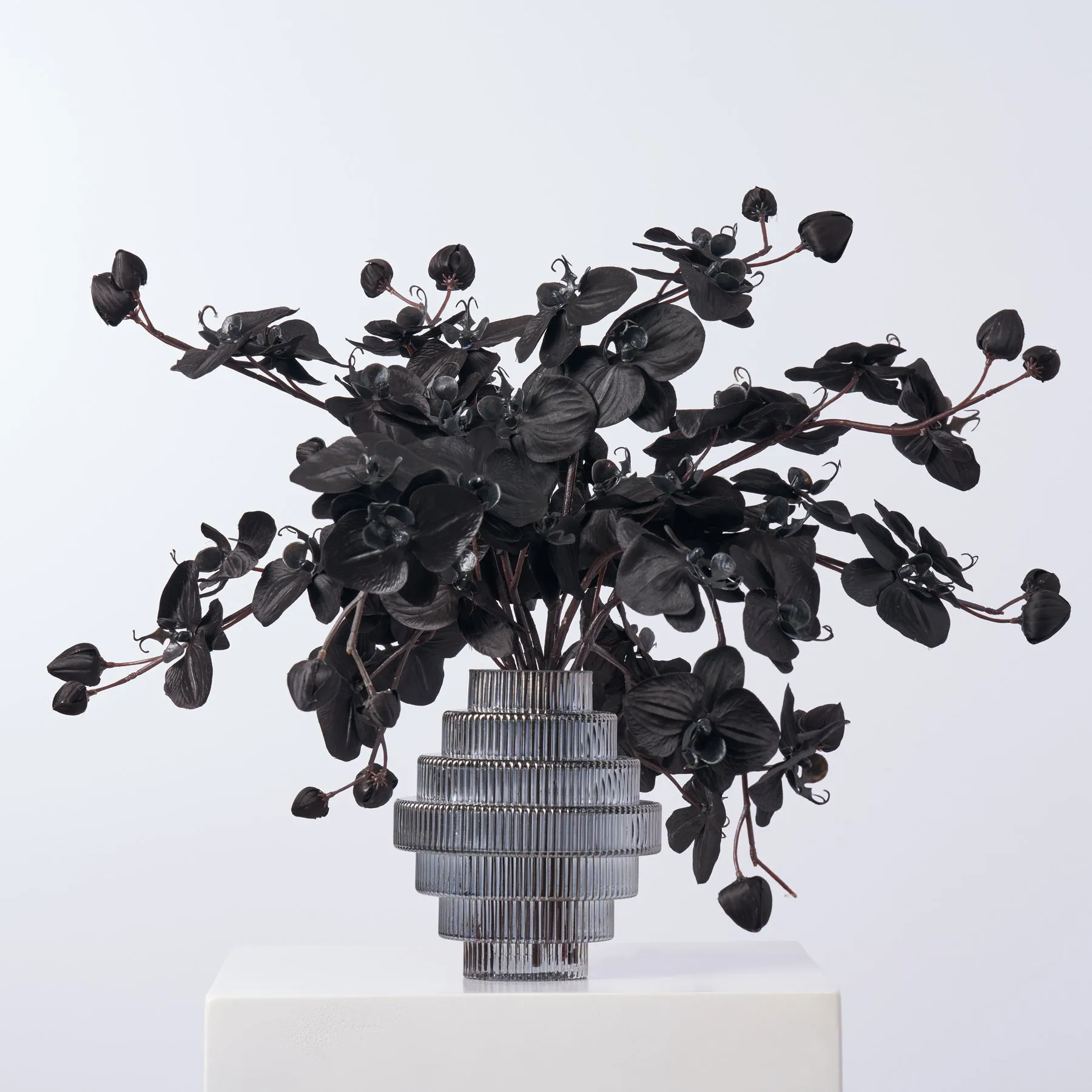 Black Magic Orchid Arrangement In Smoke Glass Chandelier Vase