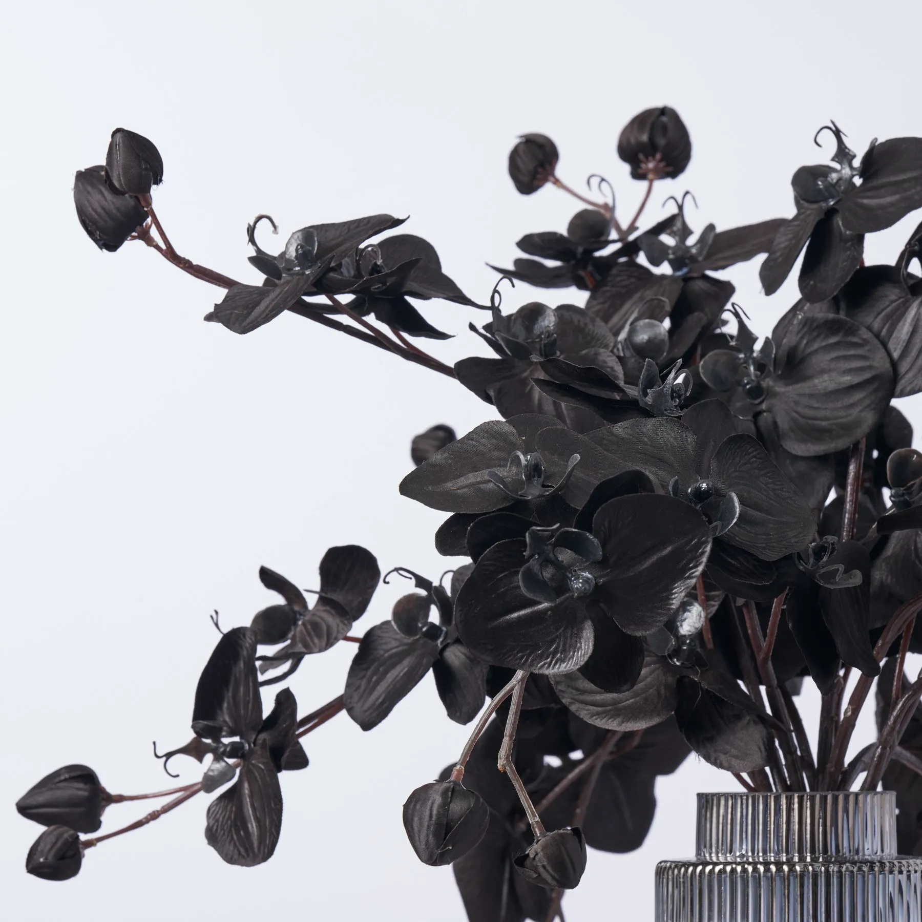 Black Magic Orchid Arrangement In Smoke Glass Chandelier Vase