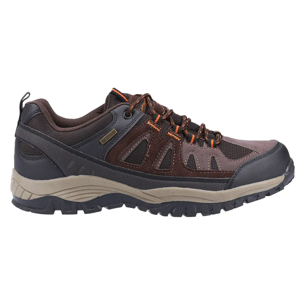 Maisemore Low Hiking Shoes Brown